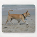 Search for beach walk mousepads Dog