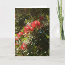 Search for new zealand tree cards Flowers