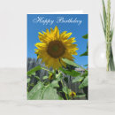 Search for sunflower birthday cards Nature