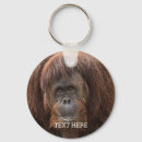Search for orangutan key rings Monkey