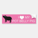 Search for bellis bumper stickers Heart