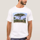 Search for acacia tree tshirts Africa