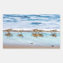 Search for sandpiper stickers Beach
