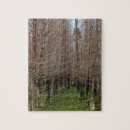 Search for rowing puzzles Landscape