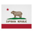 Search for capybara posters South america