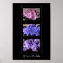 Search for african violets posters Blue