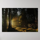 Search for rays of sun posters Vintage