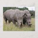 Search for herd photography Africa