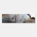 Search for fluffy white bumper stickers Funny