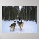 Search for quebec posters Nature