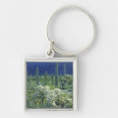 Search for hillside key rings Scenic