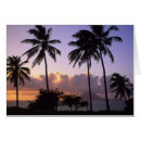 Search for st kitts postcards Beach