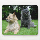 Search for cairn mousepads Puppy