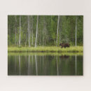 Search for finland puzzles Nature