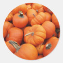 Search for thanksgiving autumn stickers Farm