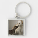 Search for waist key rings Animal body part