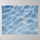 Search for water animal art Usa
