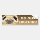 Search for pug bumper stickers Funny