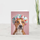 Search for humourous note cards Fun