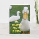 Search for duck saying cards Funny