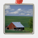 Search for idaho christmas tree decorations Field