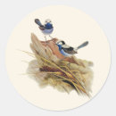 Search for warbler stickers Birds