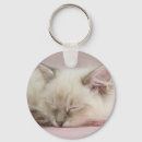 Search for the rag key rings Cat