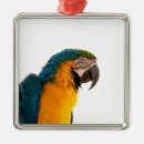 Search for macaw christmas tree decorations Bird