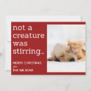 Search for not a creature was stirring seasonal cards Cat