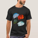 Search for four elements Nature
