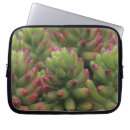 Search for ups laptop cases Succulent