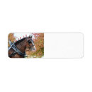Search for clydesdale horse Draft