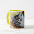 Search for baby kitten mugs Cat