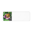 Search for monarch return address labels Nature