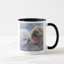 Search for monkey head mugs Animals in the wild
