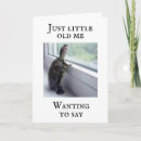 Search for funny turtle birthday cards Photography