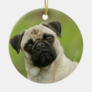 Search for mop mop christmas tree decorations Carlin