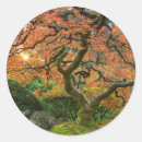 Search for japanese tree stickers Garden