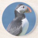 Search for puffin barware Beak