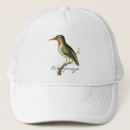 Search for perch hats Birds