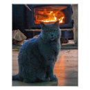 Search for fireplace posters Cozy