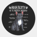 Search for yellow paw prints stickers English mastiff