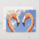 Search for wrapped postcards Tropical