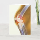 Search for human body part cards Healthcare and medicine