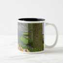 Search for holland park mugs European