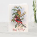 Search for cute funny bird birthday cards Birds