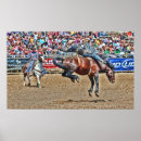 Search for bronco Bucking