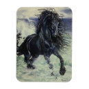 Search for friesian magnets Horse