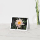 Search for lily flower note cards Botanical