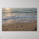 Search for footprints in the sand art Sunset